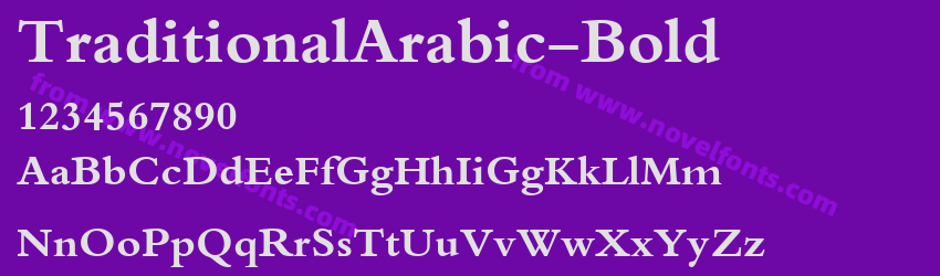 TraditionalArabic-BoldPreview