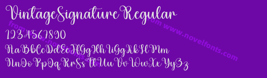 VintageSignatureRegularPreview