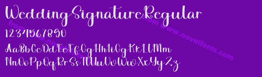 WeddingSignatureRegularPreview