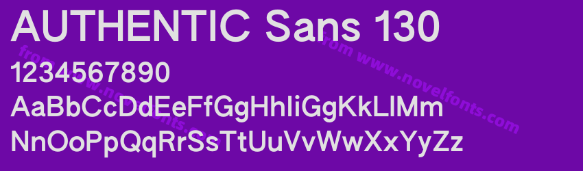 AUTHENTIC Sans 130Preview