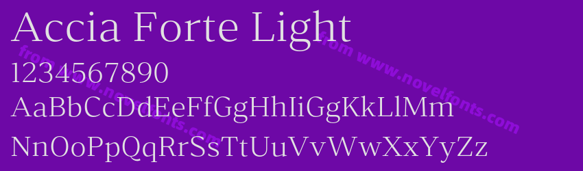 Accia Forte LightPreview