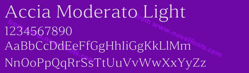 Accia Moderato LightPreview