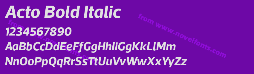 Acto Bold ItalicPreview