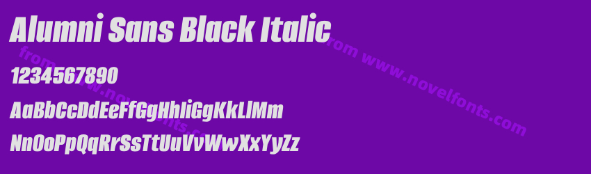 Alumni Sans Black ItalicPreview