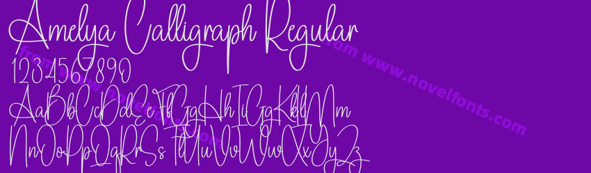 Amelya Calligraph RegularPreview