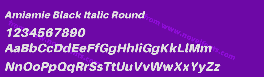 Amiamie Black Italic RoundPreview