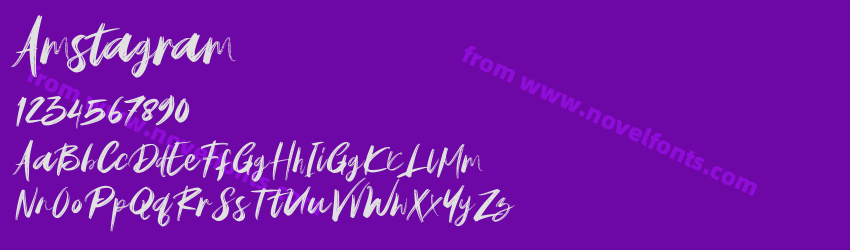 AmstagramPreview AmstagramPreview