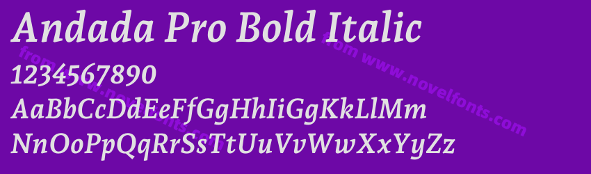 Andada Pro Bold ItalicPreview