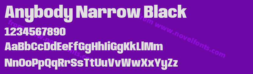 Anybody Narrow BlackPreview