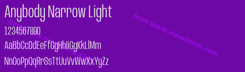 Anybody Narrow LightPreview