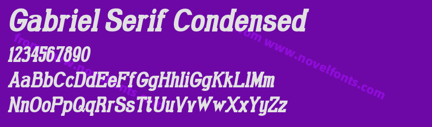 Gabriel Serif Condensed Bold ItalicPreview