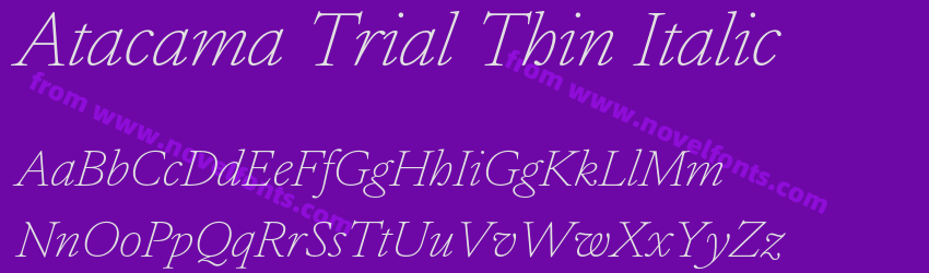 Atacama Trial Thin ItalicPreview