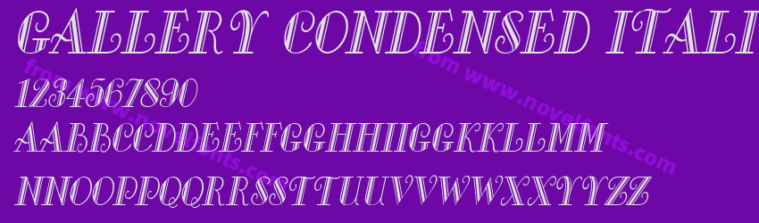 Gallery Condensed ItalicPreview