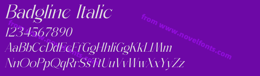 Badgline ItalicPreview Badgline ItalicPreview