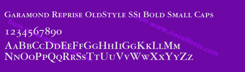 Garamond Reprise OldStyle SSi Bold Small CapsPreview