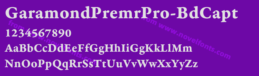 GaramondPremrPro-BdCaptPreview