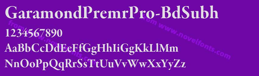 GaramondPremrPro-BdSubhPreview