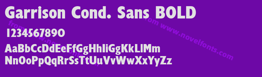 Garrison Cond. Sans BOLDPreview