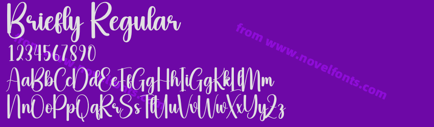 Briefly RegularPreview Briefly RegularPreview