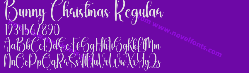 Bunny Christmas RegularPreview
