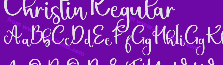 Christin RegularPreview Christin RegularPreview