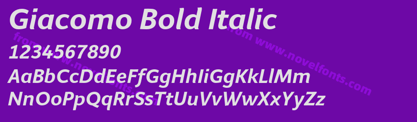 Giacomo Bold ItalicPreview