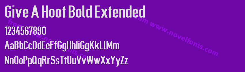 Give A Hoot Bold ExtendedPreview