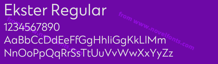Ekster RegularPreview Ekster RegularPreview