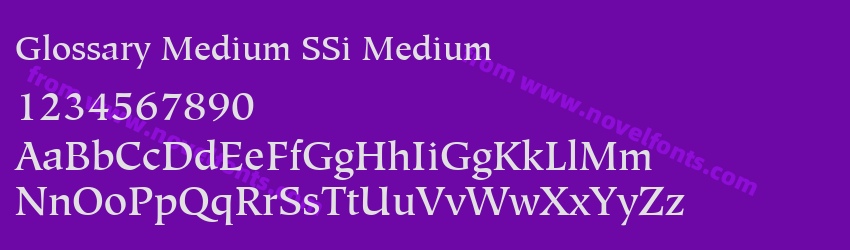 Glossary Medium SSi MediumPreview