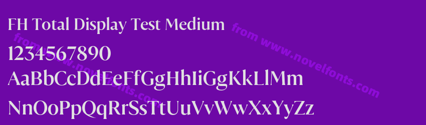 FH Total Display Test MediumPreview FH Total Display Test MediumPreview