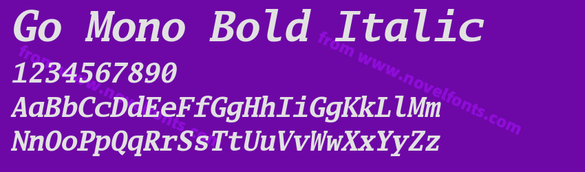 Go Mono Bold ItalicPreview