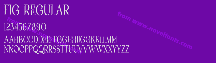 Fig RegularPreview Fig RegularPreview