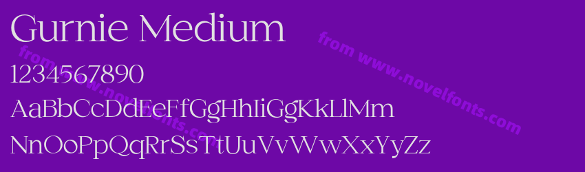 Gurnie MediumPreview