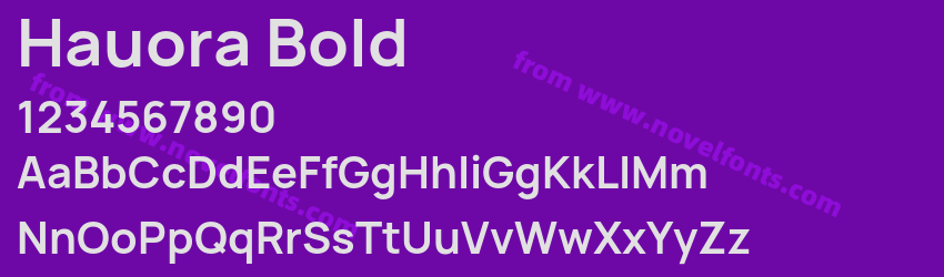 Hauora BoldPreview Hauora BoldPreview