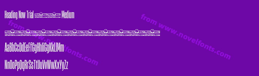 Heading Now Trial 15 MediumPreview