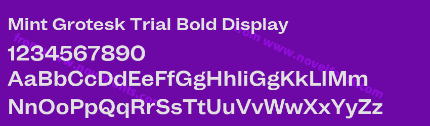 Mint Grotesk Trial Bold DisplayPreview Mint Grotesk Trial Bold DisplayPreview