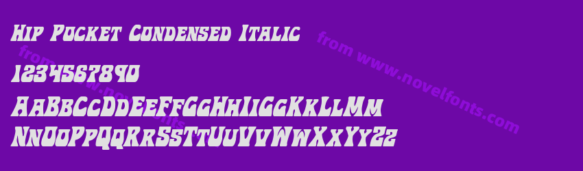 Hip Pocket Condensed ItalicPreview