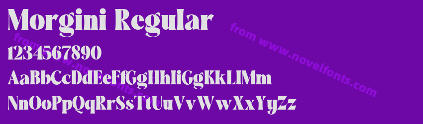 Morgini RegularPreview Morgini RegularPreview