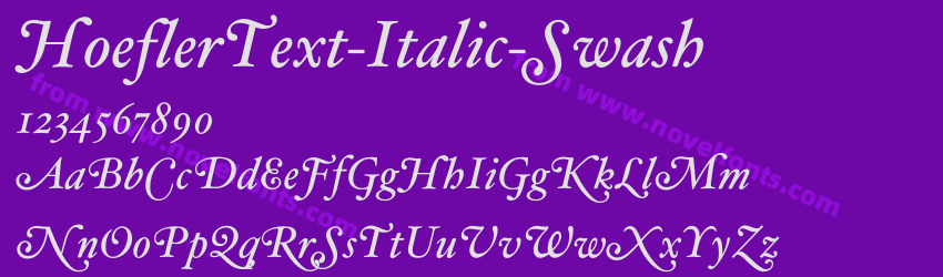 HoeflerText-Italic-SwashPreview