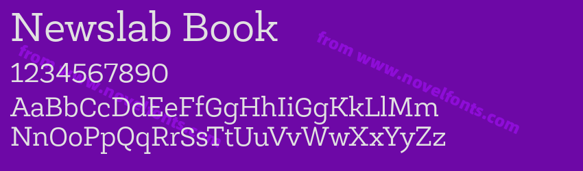 Newslab BookPreview Newslab BookPreview