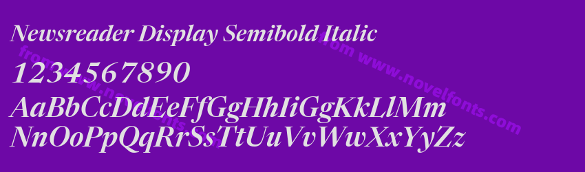 Newsreader Display Semibold ItalicPreview Newsreader Display Semibold ItalicPreview