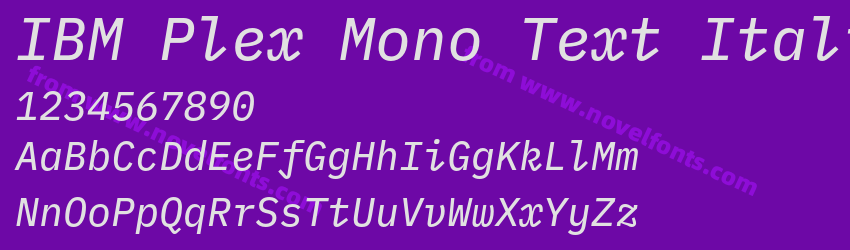 IBM Plex Mono Text ItalicPreview