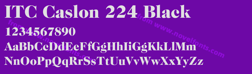 ITC Caslon 224 BlackPreview