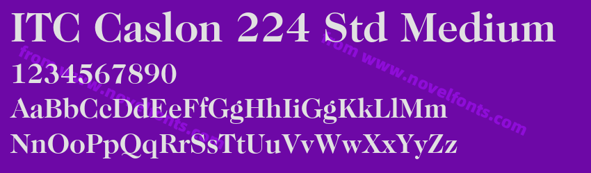 ITC Caslon 224 Std MediumPreview