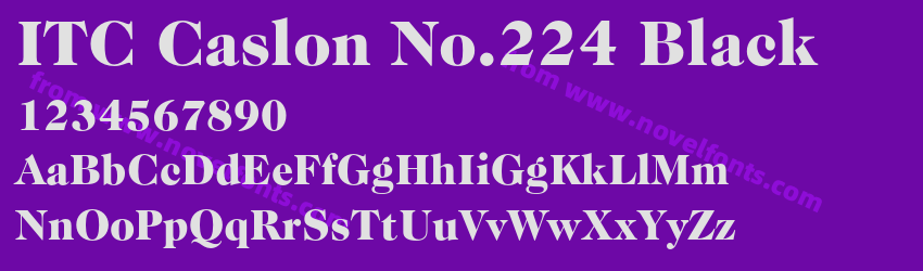 ITC Caslon No.224 BlackPreview