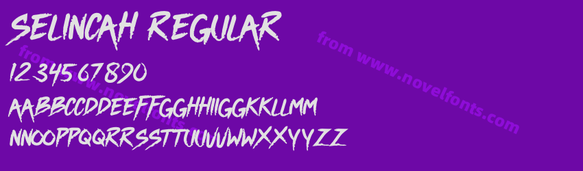 SELINCAH RegularPreview SELINCAH RegularPreview