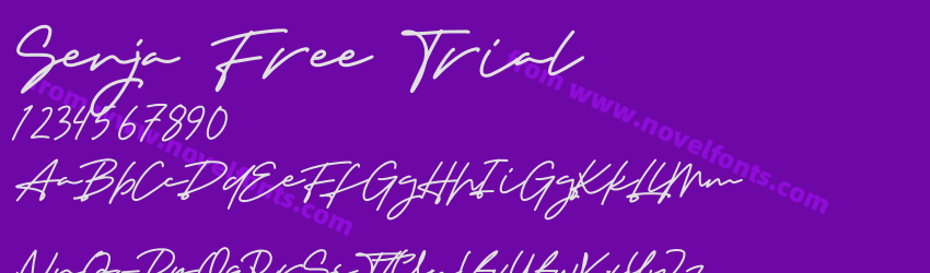 Senja Free TrialPreview Senja Free TrialPreview
