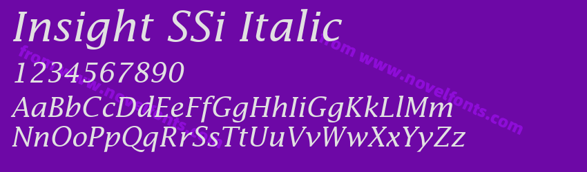 Insight S Si ItalicPreview