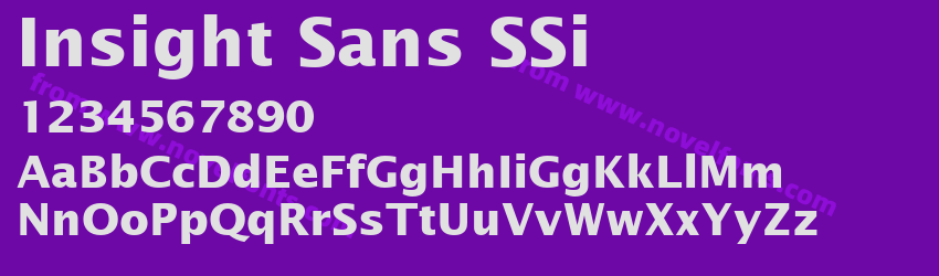 Insight Sans S Si BoldPreview