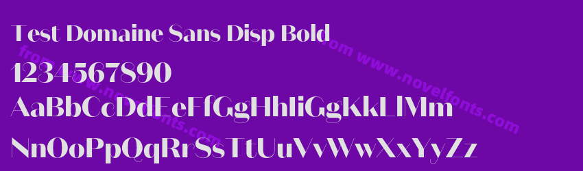 Test Domaine Sans Disp BoldPreview